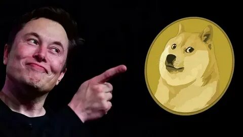 ‘Why People Love Dogecoin’—Elon Musk Reveals One Surprise Reason Behind His Support For The ‘Joke’ Bitcoin Rival Amid Crypto Price Crash - Forbes