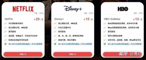 netflix必须付费吗? - 知乎