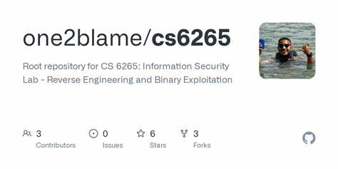 CS6265, Summer 2025; Information Security Lab – Binary Exploitation