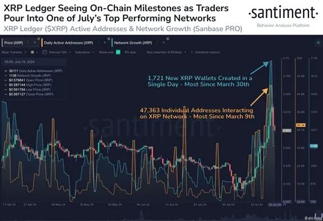 XRP Adoption & Activity Spike: What This Means For Its Price - NewsBTC