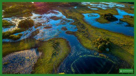 Satellite data indicates recent Arctic peatland expansion with warming