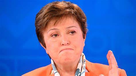 Milei to meet Musk, IMF chief in Washington - Buenos Aires Times