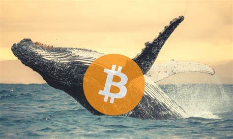 Whale Alert: Bitcoin Worth $313 Million Was Sent from Bittrex Exchange to Unknown Wallet - CryptoPotato