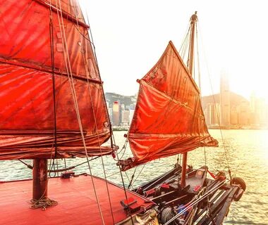 Hong Kong to launch AI regulations for financial markets in push for web3 leadership - Invezz