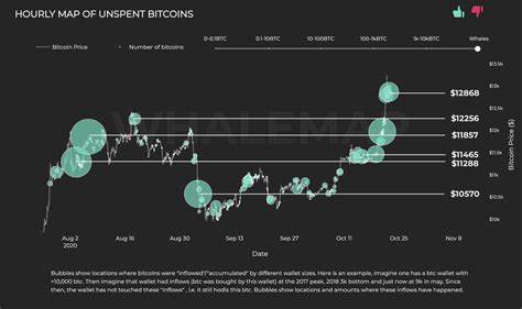 Bitcoin Whale Holdings of Reaches 2-Year High: BTC Price Prediction - Cryptonews