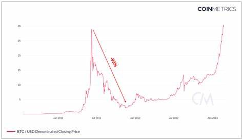 Bitcoin Bear Markets: What, Why, When? - Bitcoin Magazine