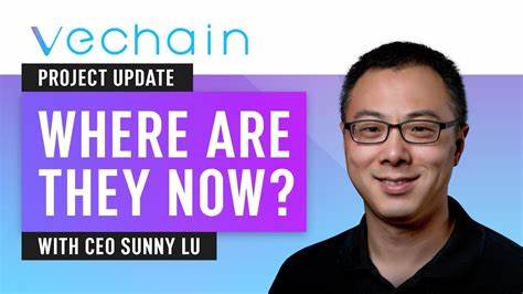 VET News: VeChain CEO Sunny Lu Unveils VeBetterDAO Vision and DAO Future in Exclusive Interview