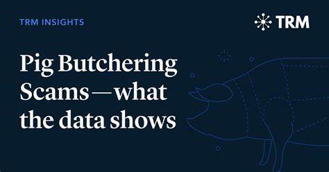 “Uncovering the ‘Pig Butchering’ Enigma: How a New Breed of Scammers Outpaced Crypto Hacks to Steal Billions in 2024