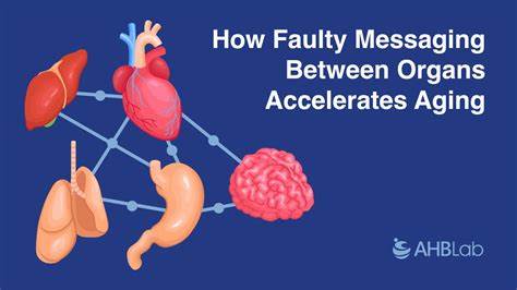 Ageing accelerates around age 50 ― some organs faster than others