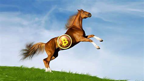 Swiss Government Considers Adding Bitcoin to National Reserves