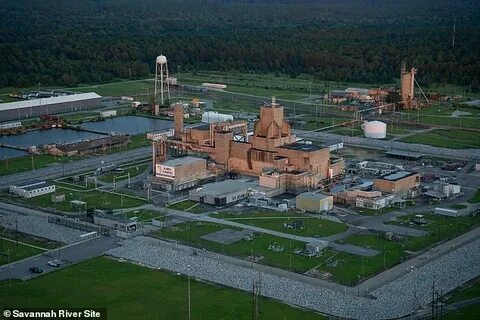 Chaos after radioactive wasp nest is discovered atformer US nuclear bomb factory