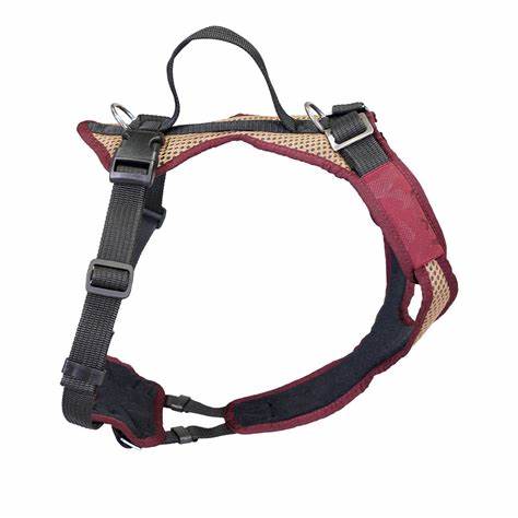 Hundegeschirr Vary - ergonomisch und mittwachsend - Grossenbacher Beat