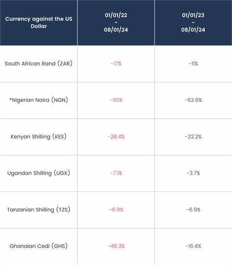 How USD-backed stablecoins are helping Africans ditch miserable local currencies - Moneyweb