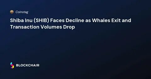 Shiba Inu Price Flop Escalates, Whales Exit Bleeding Markets - DailyCoin