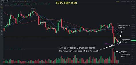 Crypto Trading Exec: Price Slump to Continue, With Bitcoin Bottoming Out at $3,000 - Cointelegraph