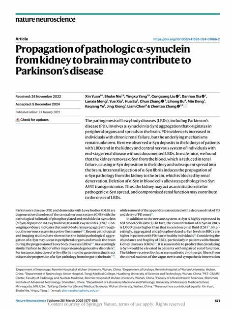 Propagation of α-Syn from kidney to brain may contribute to Parkinson's disease