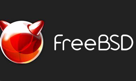 How to install FreeBSD on providers that don't support it with mfsBSD – IT Notes