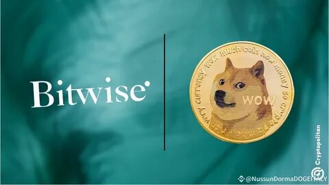 Bitwise Proposes DOGE ETF Amid Pro-Crypto Trump Policies - Crypto Times