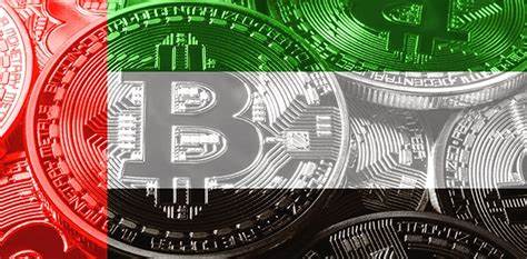 Popular digital currency options for UAE investors in 2024 - Khaleej Times