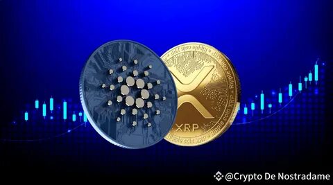 After XRP & Cardano, These Altcoins Are Primed to Hit $1 This Month - Binance