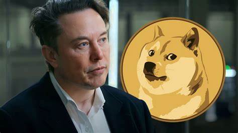 Dogecoin millionaire count soars as Musk to step back from D.O.G.E