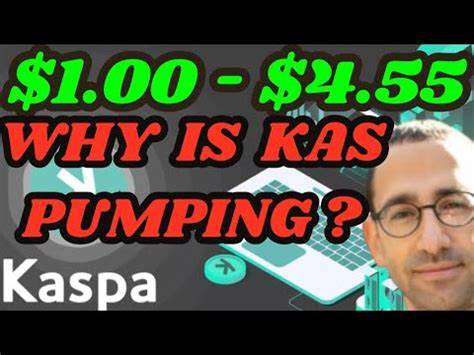 Here's Why Kaspa's Launch of KRC-20 Tokens Was a Big Success - 'Insane Numbers' Says One KAS Holder - Captain Altcoin