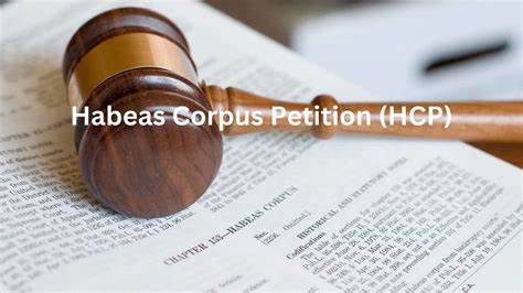 Mobile app to find immigration lawyers and emergency petition for Habeas Corpus