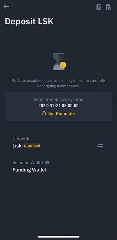 What Can I Do When Deposit/Withdrawal Is Suspended Due to Wallet Maintenance? - Binance