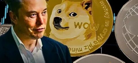 TikTok Says Selling the Platform to “DOGE Father” Elon Musk is “Pure Fiction” - The Crypto Basic