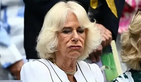 Queen Camilla has special lady-in-waiting appointed to help her find a toilet - Daily Star