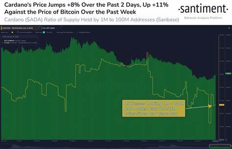 Cardano (ADA) Price Rises 6% While Whale Accumulation Stalls - BeInCrypto
