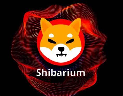 Here’s how Shiba Inu’s new burning mechanism will reward SHIB members - The Indian Express