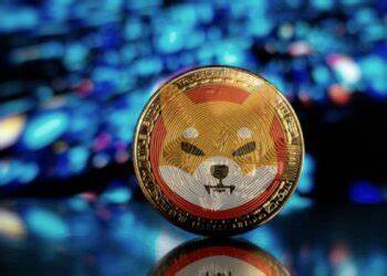 Shiba Inu Preiseinbruch: Bedeutet das das Ende für die Kryptowährung?