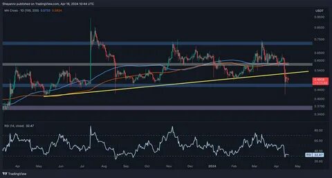 Ripple’s Price Plunge: Can XRP Stay Above This Crucial Level to Prevent Further Declines - The Currency Analytics