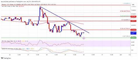 Bitcoin Price Struggles: Can the Leading Cryptocurrency Start Fresh Increase? - TradingView