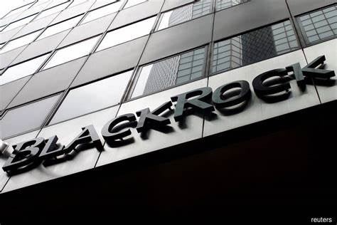 BlackRock's assets hit record $12.53 trillion on second-quarter market rally