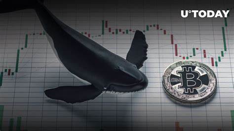 On-Chain Data Shows Bitcoin Whale Buys 2000 BTC; Is A Gigantic Price Surge Incoming? - ZyCrypto