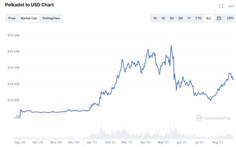 ‘Was it worth it?’ Polkadot reveals six-digit expenses in crypto event