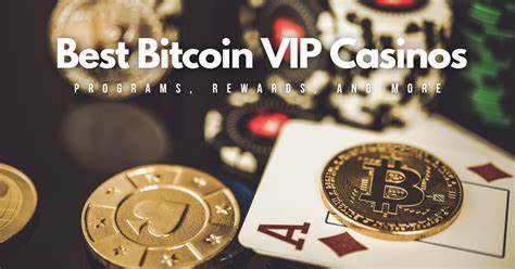 Best Crypto Casinos with VIP Programs in 2024