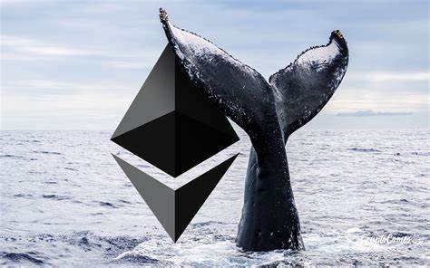 Crypto Whales Double Down On Ethereum (ETH) And Cutoshi (CUTO): This Is The Start Of The Next Ethereum Coin Takeover - Brave New Coin Insights