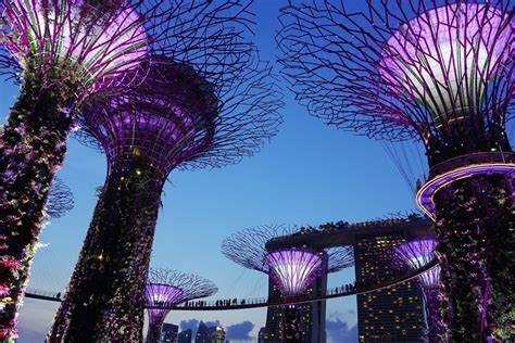 Singapore declares stop to staking and crypto lending - The Cryptonomist