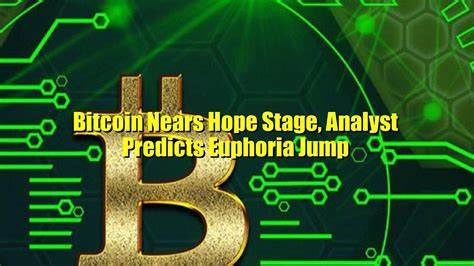 Bitcoin Enters Euphoria Phase: Analyst Predicts Rally Could Extend Through 2025 - 99Bitcoins