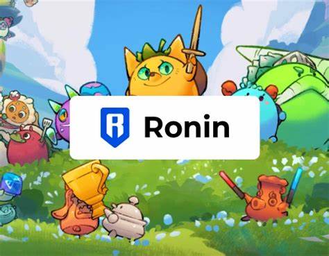 How to Add Ronin to MetaMask?