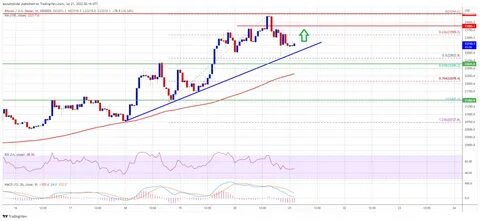 Bitcoin closes higher, but bearish trend remains in control - Kitco NEWS