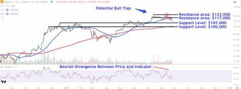 Watch These Bitcoin Levels as Price Drops Below $110,000 for the First Time Since Early July