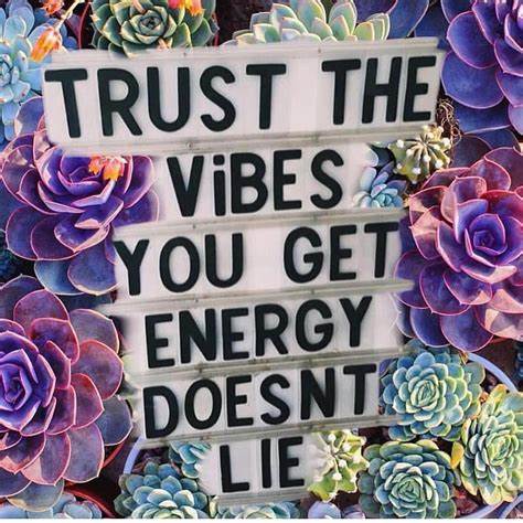 Trust the Vibes