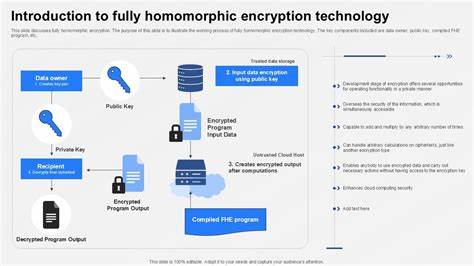 Fully Homomorphic Encryption and the Dawn of a Truly Private Internet
