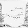Mutually Assured Destruction