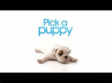 Pick a Puppy - Season 1, Episode 6 - YouTube