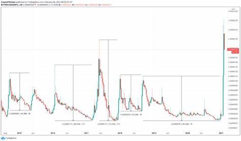 Dogecoin Price to $1, XRP Price to $5, and RCO Finance to $3 from $0.03 - Crypto News BTC